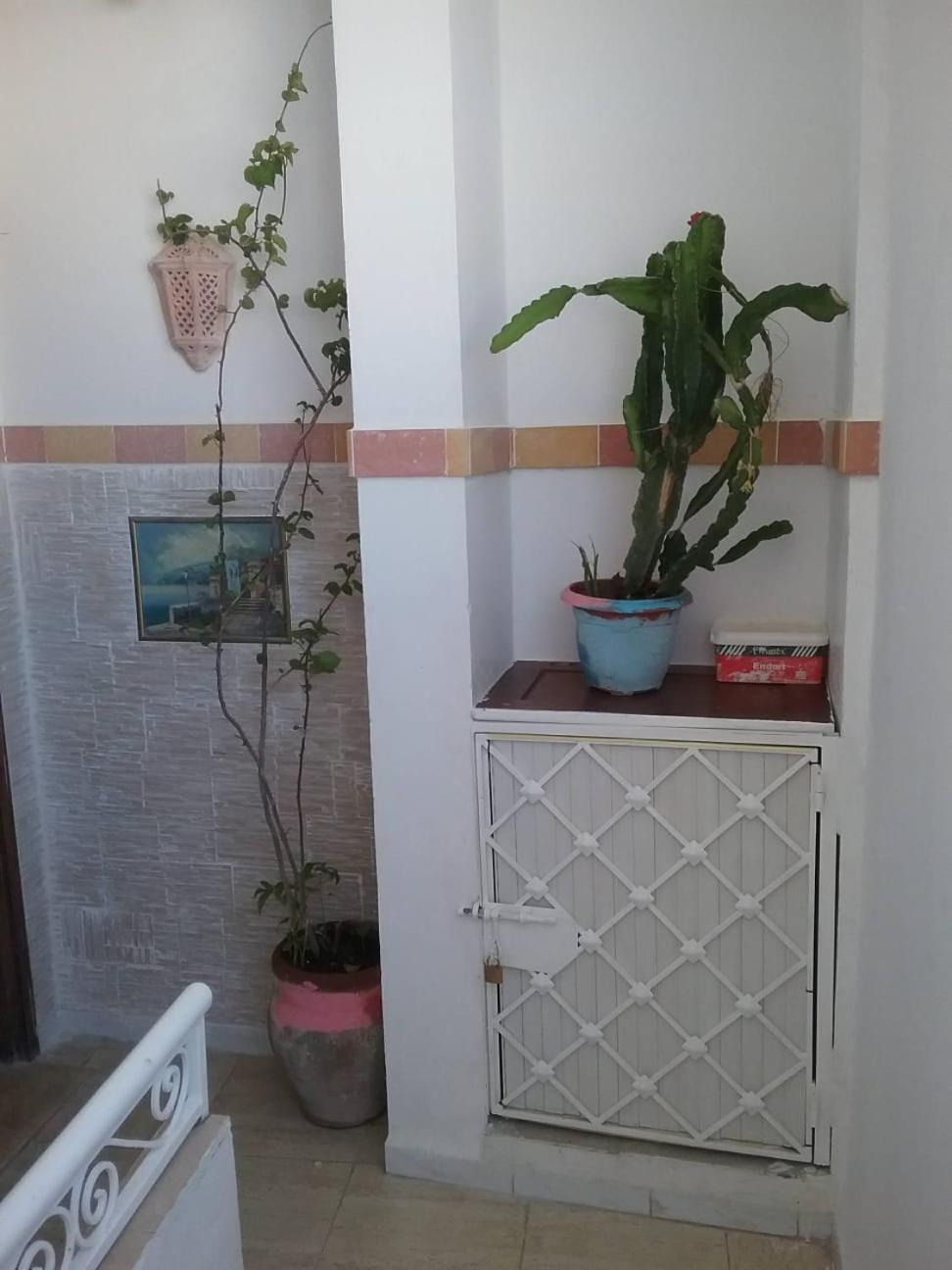 Nour A Cote De La Plage Centre Ville Σούσα Εξωτερικό φωτογραφία